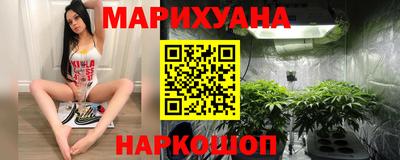 сатива Канаш